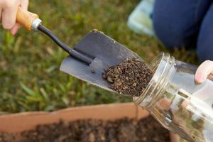 Анализ почвы для садоводов: как измерить ph и элементный состав почвы фото
