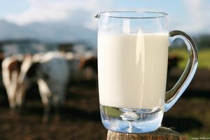 Каким должен быть рН свежего молока? фото