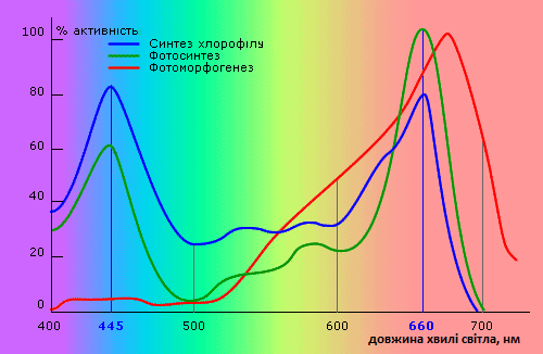 Спектральная характеристика поглощения излучения при фотосинтезе