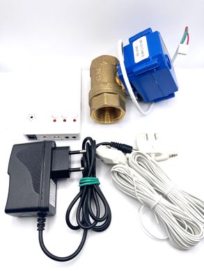 Система антизатоплення з резервним живленням та керуванням насосом (1 кран DN25) WLD-807-01-1 665 фото