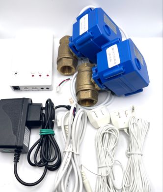 Система антизатоплення з резервним живленням та керуванням насосом (2 крани DN15) WLD-807-12-2 666 фото
